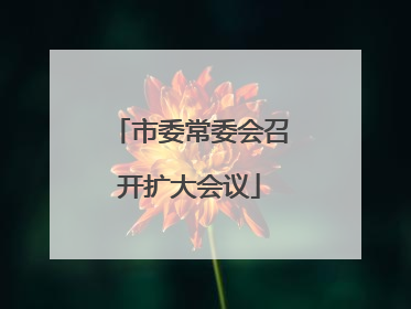 市委常委会召开扩大会议