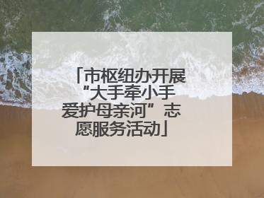 市枢纽办开展“大手牵小手 爱护母亲河”志愿服务活动