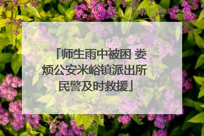 师生雨中被困 娄烦公安米峪镇派出所民警及时救援