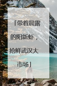 带着晨露的阳新虾，抢鲜武汉大市场