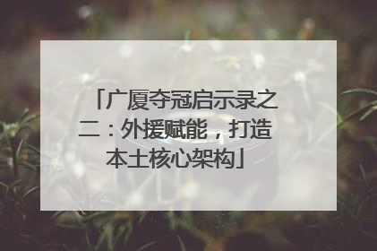 广厦夺冠启示录之二：外援赋能，打造本土核心架构