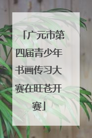 广元市第四届青少年书画传习大赛在旺苍开赛