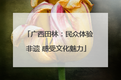 广西田林：民众体验非遗 感受文化魅力