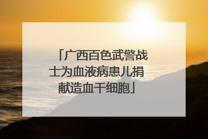 广西百色武警战士为血液病患儿捐献造血干细胞