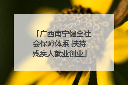 广西南宁健全社会保障体系 扶持残疾人就业创业