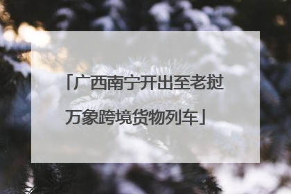 广西南宁开出至老挝万象跨境货物列车