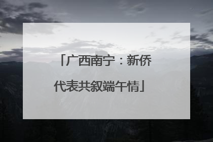 广西南宁：新侨代表共叙端午情