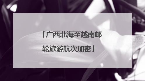 广西北海至越南邮轮旅游航次加密