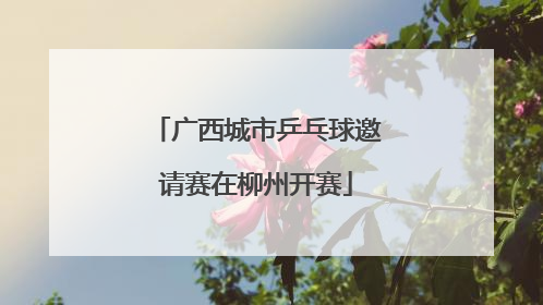 广西城市乒乓球邀请赛在柳州开赛