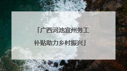 广西河池宜州务工补贴助力乡村振兴