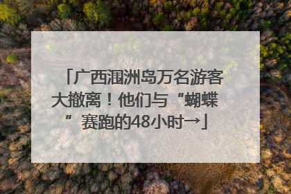 广西涠洲岛万名游客大撤离！他们与“蝴蝶”赛跑的48小时→