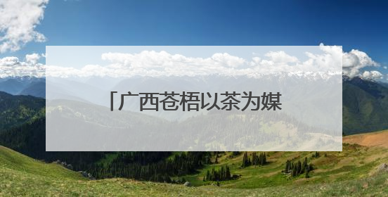 广西苍梧以茶为媒促振兴 文化赋能“绿叶”变“金叶”