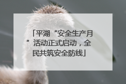 平湖“安全生产月”活动正式启动，全民共筑安全防线