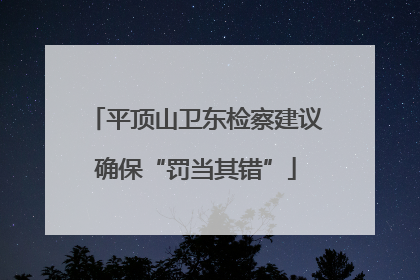 平顶山卫东检察建议确保“罚当其错”