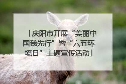 庆阳市开展“美丽中国我先行”暨“六五环境日”主题宣传活动