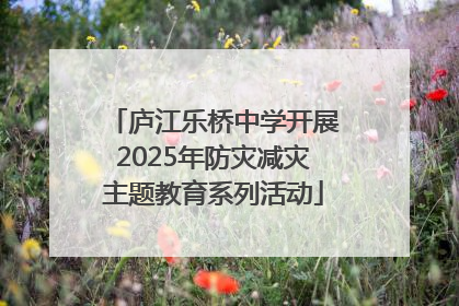 庐江乐桥中学开展2025年防灾减灾主题教育系列活动