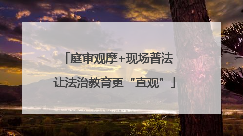 庭审观摩+现场普法 让法治教育更“直观”