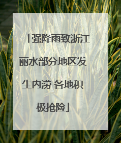 强降雨致浙江丽水部分地区发生内涝 各地积极抢险