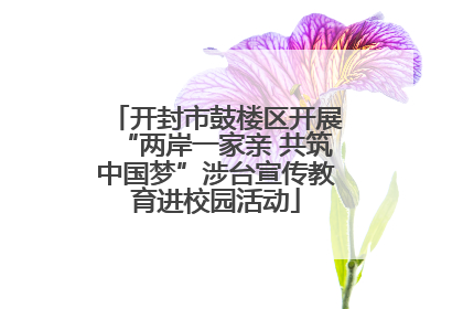 开封市鼓楼区开展“两岸一家亲 共筑中国梦”涉台宣传教育进校园活动