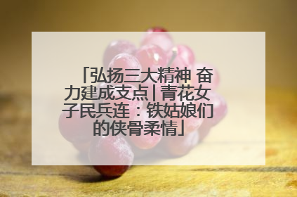 弘扬三大精神 奋力建成支点│青花女子民兵连：铁姑娘们的侠骨柔情