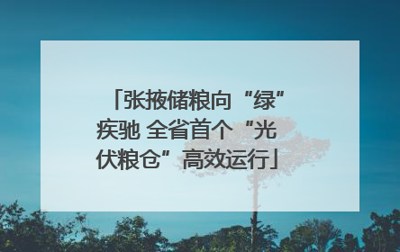 张掖储粮向“绿”疾驰 全省首个“光伏粮仓”高效运行