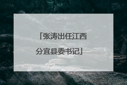 张涛出任江西分宜县委书记