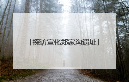 探访宣化郑家沟遗址