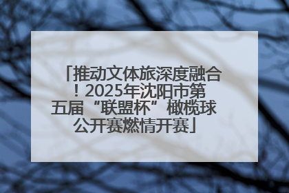 推动文体旅深度融合！2025年沈阳市第五届“联盟杯”橄榄球公开赛燃情开赛