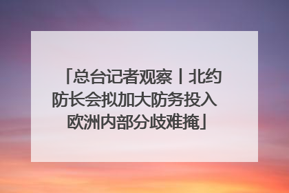 总台记者观察丨北约防长会拟加大防务投入 欧洲内部分歧难掩