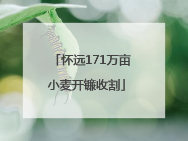 怀远171万亩小麦开镰收割