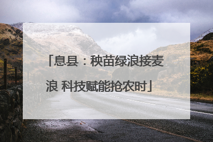 息县：秧苗绿浪接麦浪 科技赋能抢农时