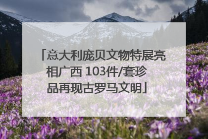 意大利庞贝文物特展亮相广西 103件/套珍品再现古罗马文明