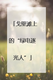 戈壁滩上的“绿电逐光人”