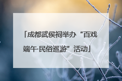 成都武侯祠举办“百戏端午·民俗巡游”活动