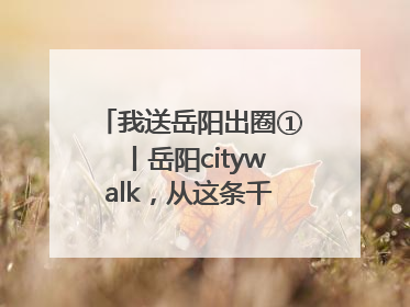 我送岳阳出圈①丨岳阳citywalk，从这条千年老街开始！