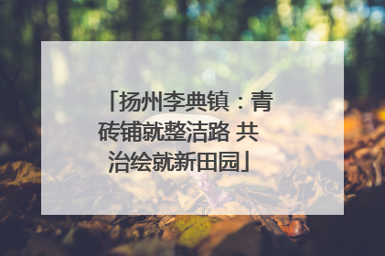 扬州李典镇：青砖铺就整洁路 共治绘就新田园