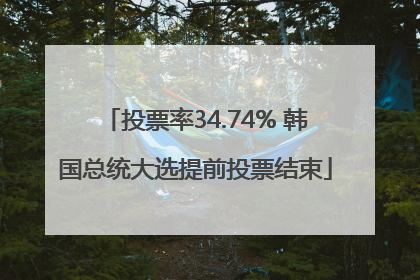 投票率34.74% 韩国总统大选提前投票结束