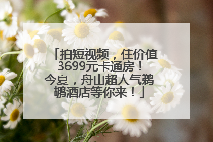 拍短视频，住价值3699元卡通房！今夏，舟山超人气鹈鹕酒店等你来！