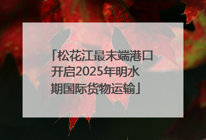 松花江最末端港口开启2025年明水期国际货物运输