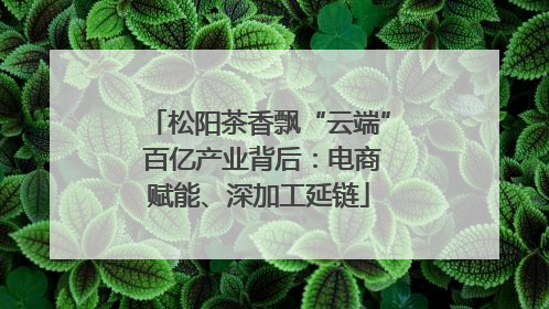 松阳茶香飘“云端” 百亿产业背后：电商赋能、深加工延链