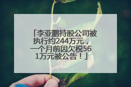 李亚鹏持股公司被执行约244万元，一个月前因欠税561万元被公告！