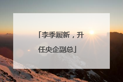 李季履新，升任央企副总