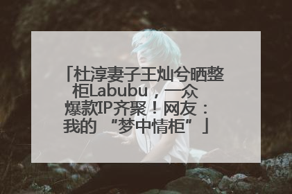 杜淳妻子王灿兮晒整柜Labubu，一众爆款IP齐聚！网友：我的 “梦中情柜”