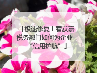 极速修复！看获嘉税务部门如何为企业“信用护航”