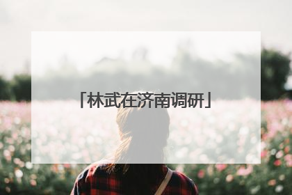林武在济南调研