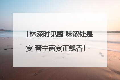 林深时见菌 味浓处是宴 晋宁菌宴正飘香
