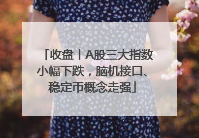 收盘丨A股三大指数小幅下跌，脑机接口、稳定币概念走强