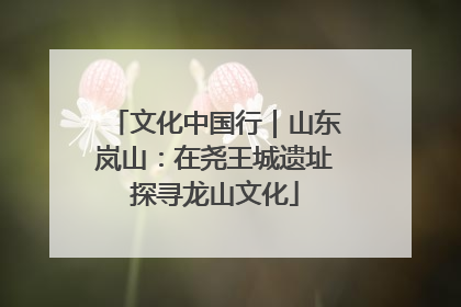 文化中国行｜山东岚山：在尧王城遗址探寻龙山文化