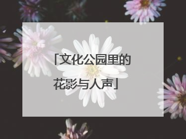文化公园里的花影与人声