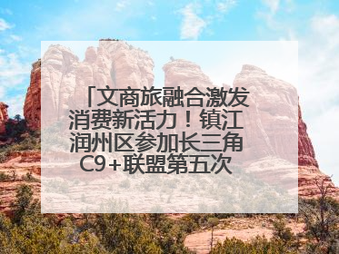 文商旅融合激发消费新活力！镇江润州区参加长三角C9+联盟第五次联席会议
